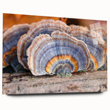 Acrylic print of a large abstract depiction of Pennsylvania scenery in muted earth tones.