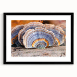 Extra large abstract art print featuring a textured, colorful Pennsylvania scenery on a framed black mat.