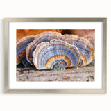 Textured abstract art print depicting a serene Pennsylvania landscape, in muted earth tones, framed in silver.