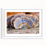 Abstract art print depicting a Pennsylvania landscape in muted earth tones on a framed white mat.