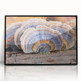 Large abstract wall art featuring a stylized Pennsylvania scenery in black and white tones on a framed acrylic.