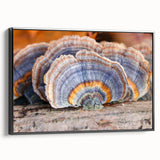 Framed canvas featuring a black and white Pennsylvania landscape, ideal for bedroom wall decor.