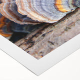 Art deco poster of Pennsylvania scenery in muted earth tones on rolled canvas, suitable for dining room wall art.