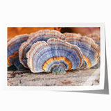 Rolled print of Pennsylvania scenery with vibrant green and floral elements, suitable for art wall dining room.