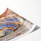 Extra large wall art featuring line art flowers in black on a white background, ideal for large living room decor.