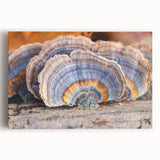 Black and white photograph of Pennsylvania scenery on stretched canvas, ideal for kitchen wall art.