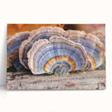 Black and white photograph of Pennsylvania scenery on stretched canvas, ideal for kitchen wall art.