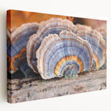 Large canvas print of a Pennsylvania landscape in muted green and blue tones, ideal for kitchen wall art.