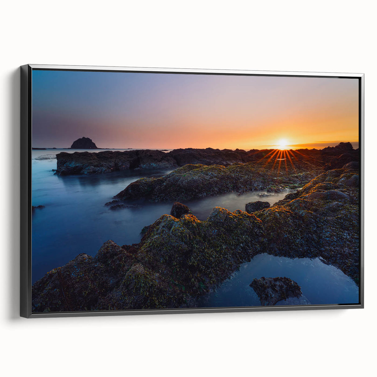 Black and white landscape art painting of Olympic National Park on framed canvas, ideal for bedroom wall decor.