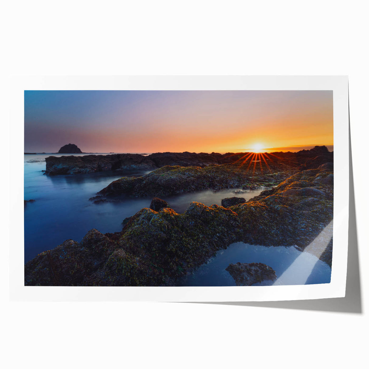 Rolled print of Olympic National Park with lush greenery and distant mountains, in earthy green and blue tones.