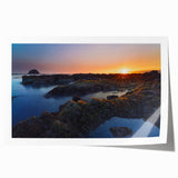 Rolled print of Olympic National Park with lush greenery and distant mountains, in earthy green and blue tones.