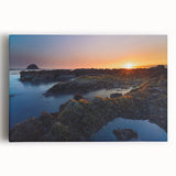 Black and white photograph of Olympic National Park on stretched canvas, ideal for kitchen wall art.