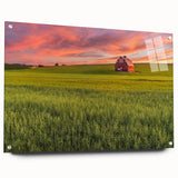 Acrylic print of Palouse, Washington scenery in muted earth tones, ideal for dining room decor.