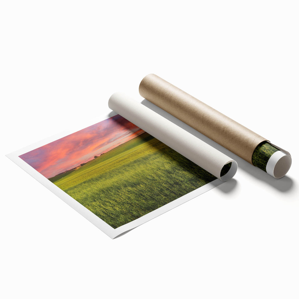 Extra large wall art depicting the Palouse fields in Washington, in soft green and brown tones.