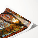 Extra large wall art featuring line art flowers in soft pastel colors on a rolled print.