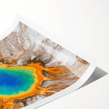 Extra large wall art featuring line art flowers in muted earth tones on a rolled print, ideal for large living room decor.