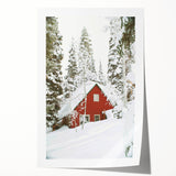 Extra large rolled print of a winter floral scene in muted blues and whites.