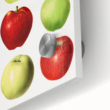 Close-up of large abstract wall art featuring assorted fruits in vibrant colors on acrylic glass.