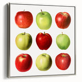 Landscape art painting featuring colorful fruits on a vintage poster, framed in silver, perfect for kitchen wall decor.