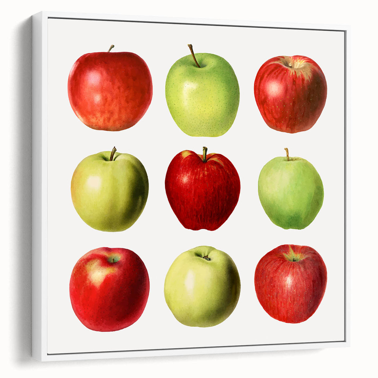 Vintage poster art of colorful fruits on a black background, printed on extra-large framed canvas.