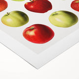 Art deco poster of assorted fruits in vibrant colors on rolled canvas, ideal for dining room wall art.