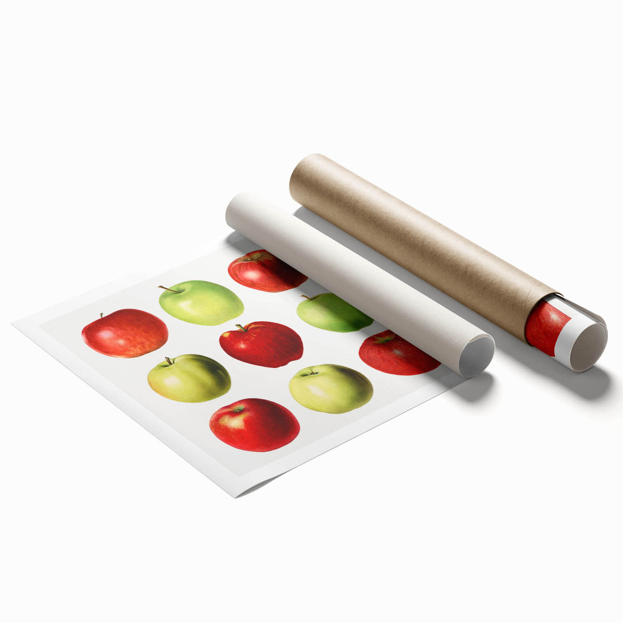 Extra large rolled print featuring vibrant floral art, ideal for classy bathroom or large living room decor.