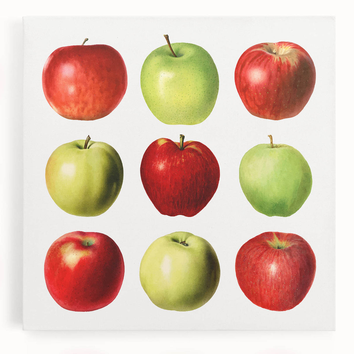 Large black and white canvas depicting assorted fruits, ideal for kitchen wall art.