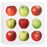 Large black and white canvas depicting assorted fruits, ideal for kitchen wall art.