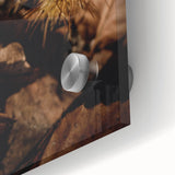 Large abstract wall art in warm autumn colors on acrylic glass, ideal for dining room art.