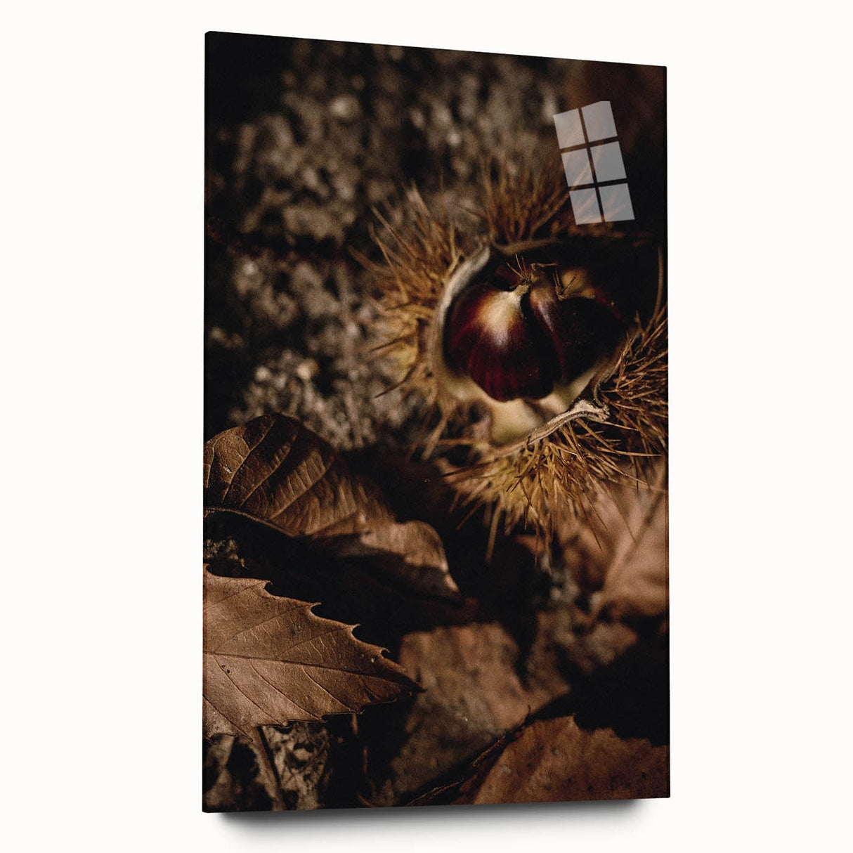 Large abstract wall art in warm autumn hues on acrylic glass, suitable for bedroom or dining room decor.