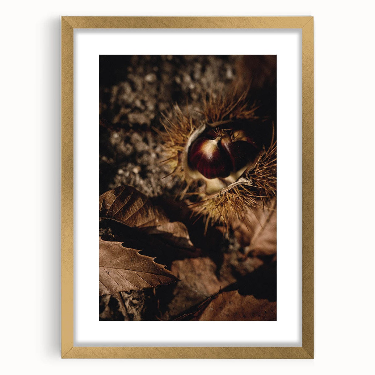 Extra large abstract art print featuring textured autumn hues in a gold frame, ideal for living room decor.