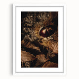 Abstract art print featuring warm autumnal hues on a white framed canvas, ideal for dining room decor.