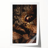 Extra large rolled print of a floral design in warm autumn colors, ideal for art wall dining room decor.