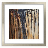 Rustic Abstract Forest Wall Art - Textured Dining Room Canvas
