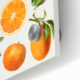 Large abstract wall art featuring assorted fruits in vibrant colors on acrylic glass, suitable for dining room decor.