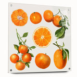 Acrylic glass print of assorted fruits in vibrant colors, ideal for dining room decor.