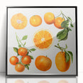 Large abstract wall art featuring assorted fruits in bold colors on a black acrylic frame, suited for modern kitchen decor.