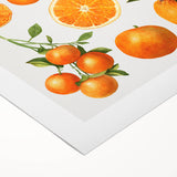 Art deco poster featuring an assortment of fruits in bold colors on a rolled canvas, suitable for dining room decor.
