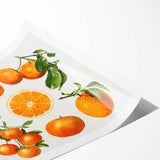 Extra large wall art featuring line art flowers in black on white, rolled print, ideal for large living room decor.