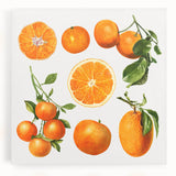 Black and white photo of assorted fruits on a stretched canvas, ideal for kitchen wall art.