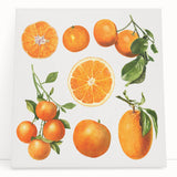 Black and white photo of assorted fruits on stretched canvas, ideal for kitchen wall art.