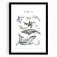 Ocean Life Kids Educational Wall Art - Learning Poster for Classrooms