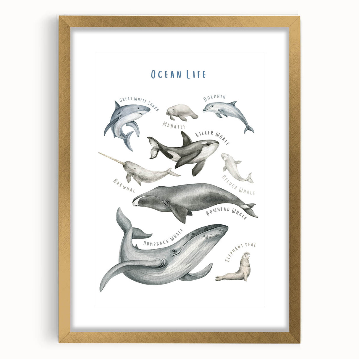 Ocean Life Kids Educational Wall Art - Learning Poster for Classrooms