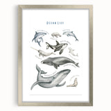 Ocean Life Kids Educational Wall Art - Learning Poster for Classrooms