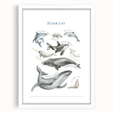 Ocean Life Kids Educational Wall Art - Learning Poster for Classrooms