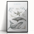 Ocean Life Kids Educational Wall Art - Learning Poster for Classrooms