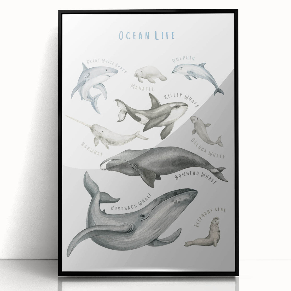 Ocean Life Kids Educational Wall Art - Learning Poster for Classrooms