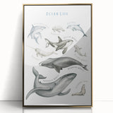 Ocean Life Kids Educational Wall Art - Learning Poster for Classrooms