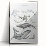 Ocean Life Kids Educational Wall Art - Learning Poster for Classrooms