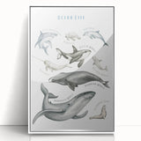 Ocean Life Kids Educational Wall Art - Learning Poster for Classrooms